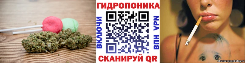 даркнет сайт  мега онион  Canna-Cookies конопля  Клинцы 