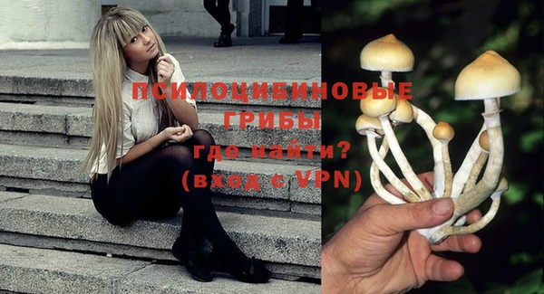 mdma Кукмор