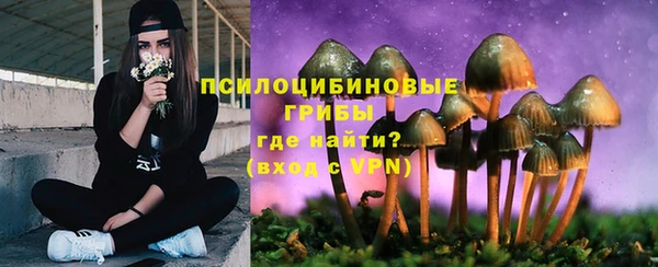 СК Кулебаки